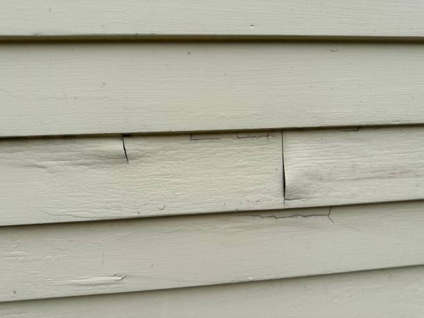 Best Siding for New Construction  in Chino, CA